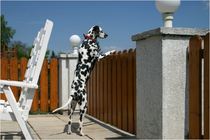 <b>Frauli, Besuch kommt!<b>